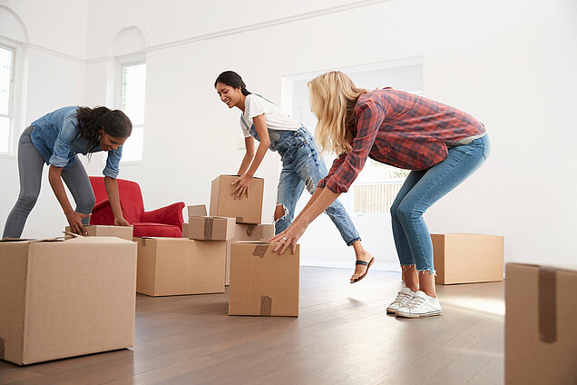assurance habitation colocation